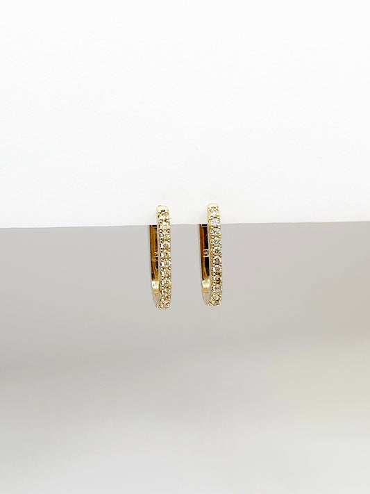 Créoles Alba éclat